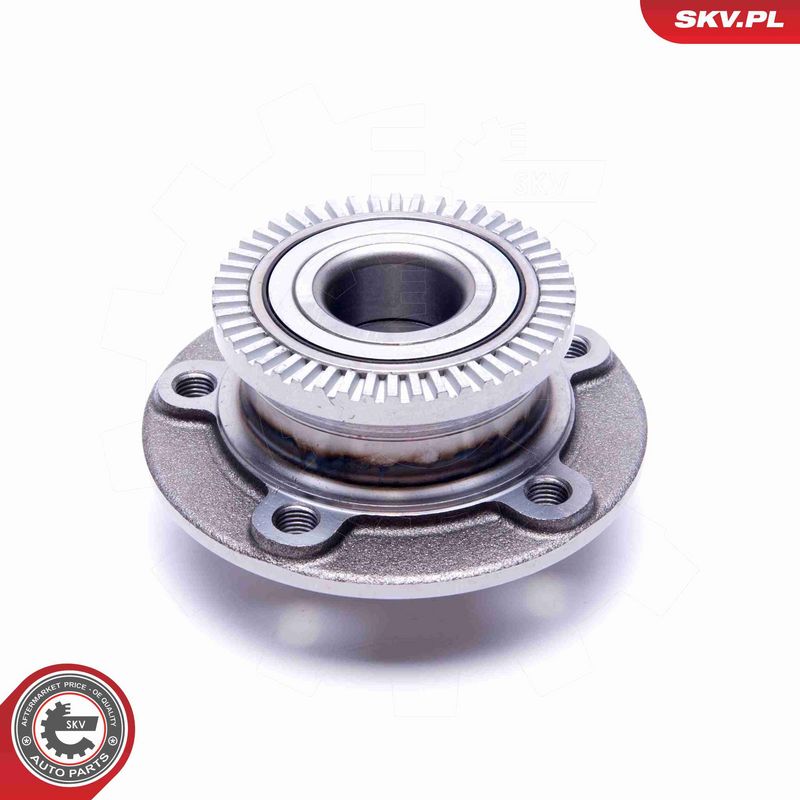 ESEN SKV 29SKV521 Wheel Bearing Kit