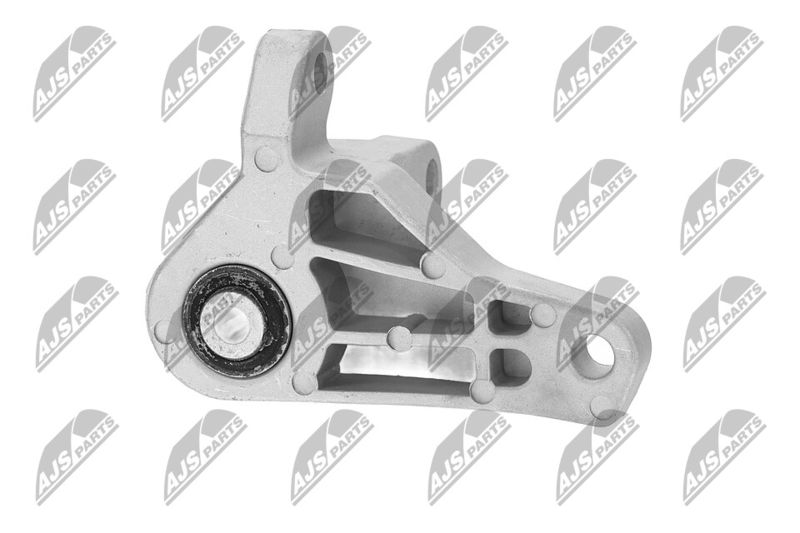 Paigutus, Mootor, NTY ZPS-FR-066