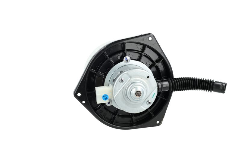 Salongipuhur, NRF 34377