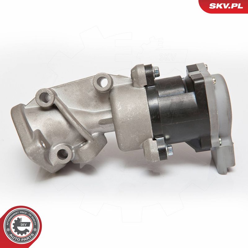 ESEN SKV 14SKV072 EGR Valve
