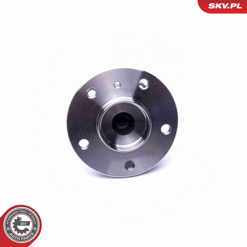 ESEN SKV 29SKV295 Wheel Bearing Kit