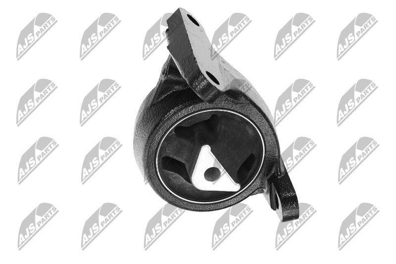 Paigutus, Mootor, NTY ZPS-CH-088