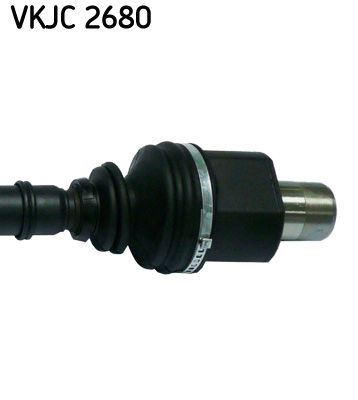 VKJC 2680_3.JPG
