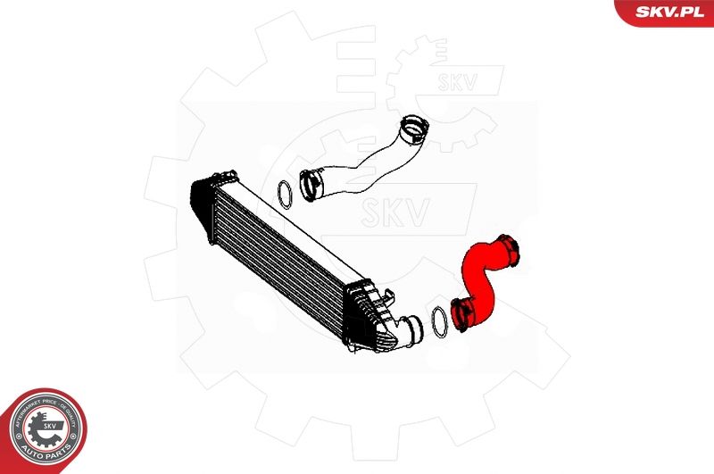 Шланг подачі наддувального повітря, Skv Germany 43SKV392