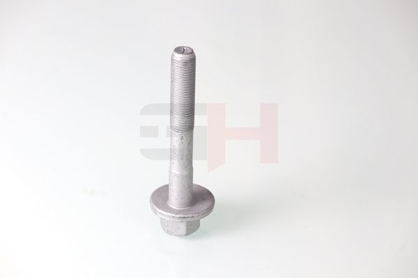 GH GH-399901 Camber Correction Screw