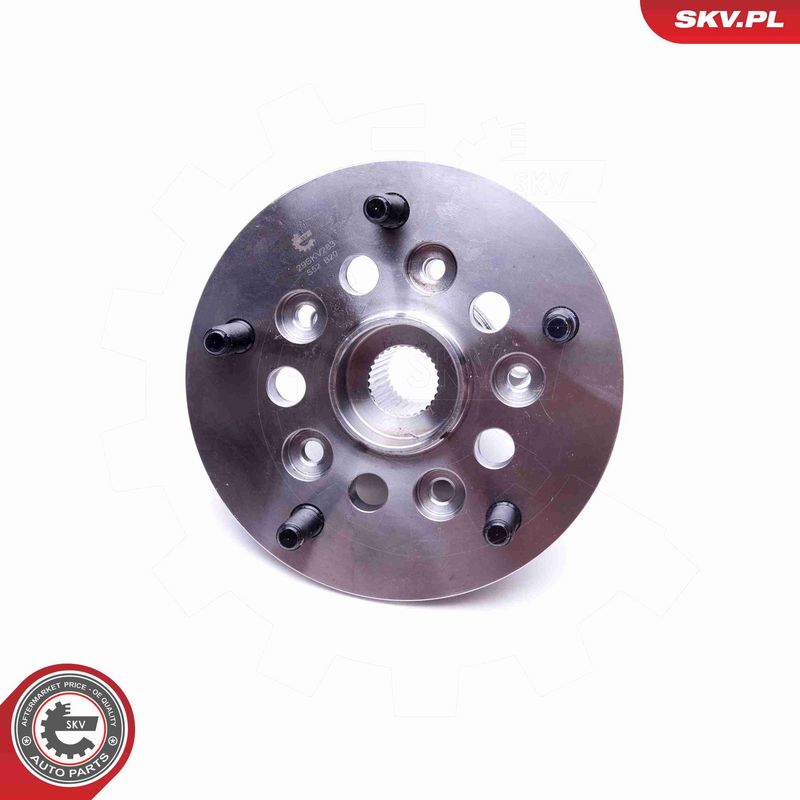 ESEN SKV 29SKV283 Wheel Bearing Kit