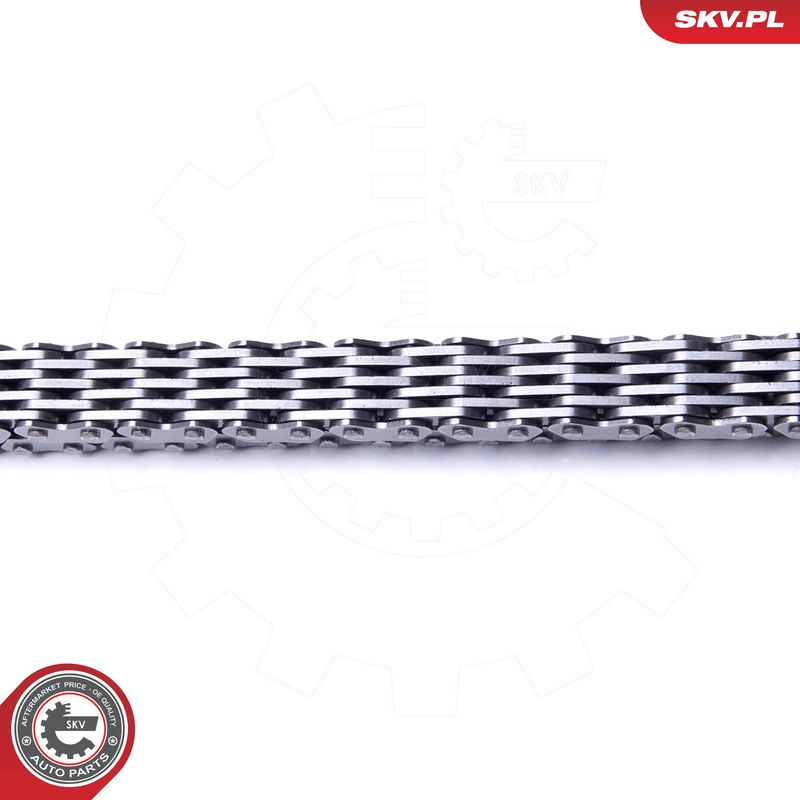 Mootori keti komplekt, ESEN SKV 21SKV181