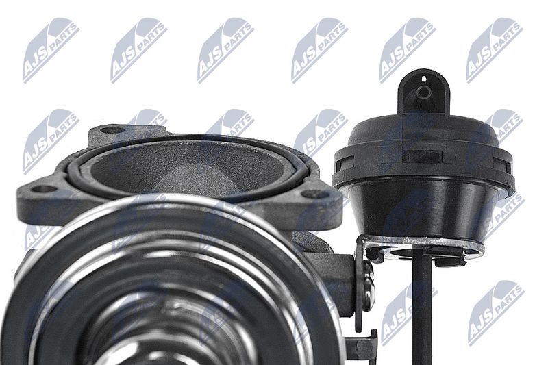 EGR-klapp, NTY EGR-AU-000