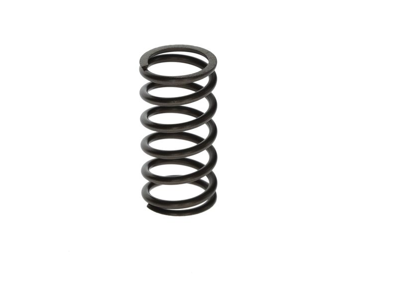 BOSCH F00N201853 Spring