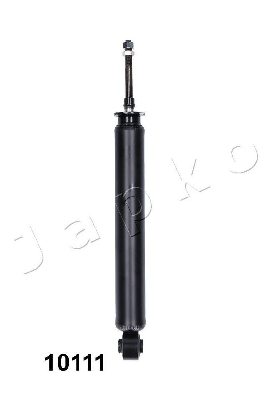 MJ10111_1.JPG