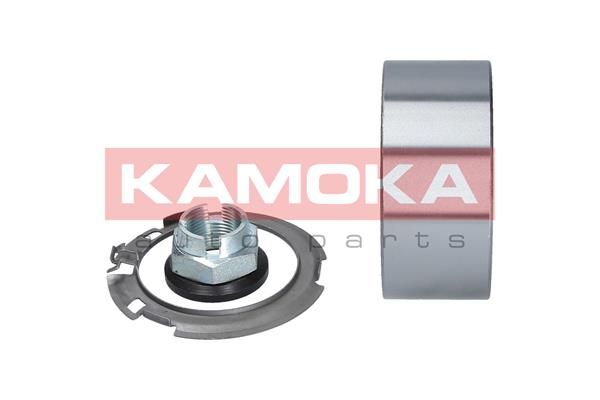 Комплект колісних підшипників, Kamoka 5600055