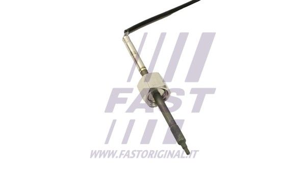 FT80267_2_1.JPG