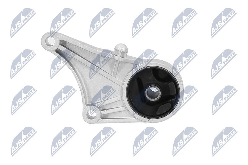Paigutus, Mootor, NTY ZPS-PL-012