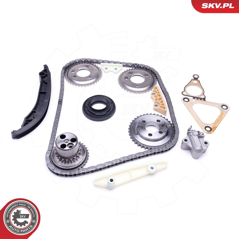 Mootori keti komplekt, ESEN SKV 21SKV123
