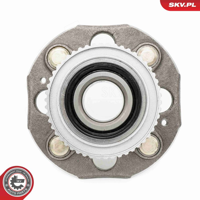 ESEN SKV 29SKV464 Wheel Bearing Kit
