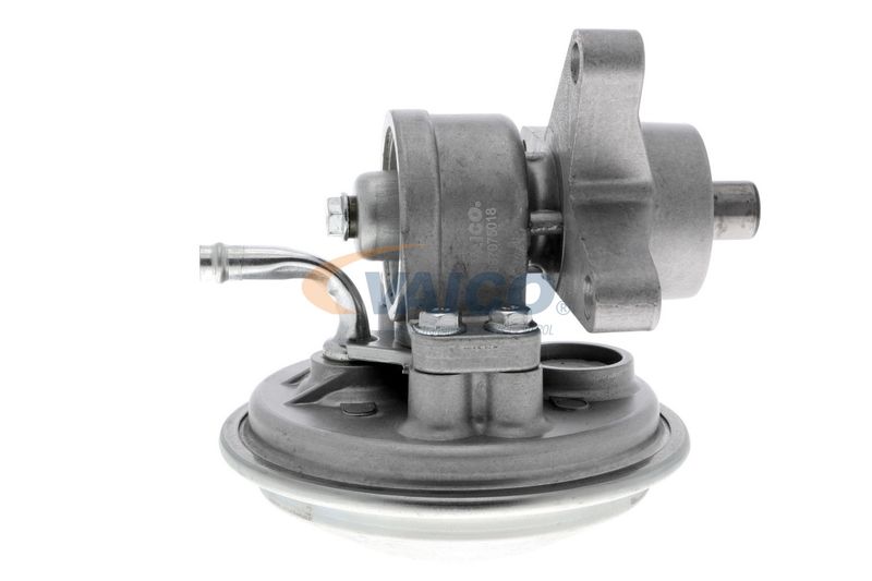 VAICO V25-1908 Mounting, engine