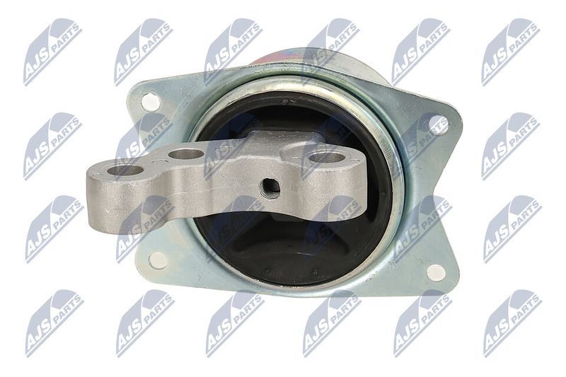 Paigutus, Mootor, NTY ZPS-PL-049