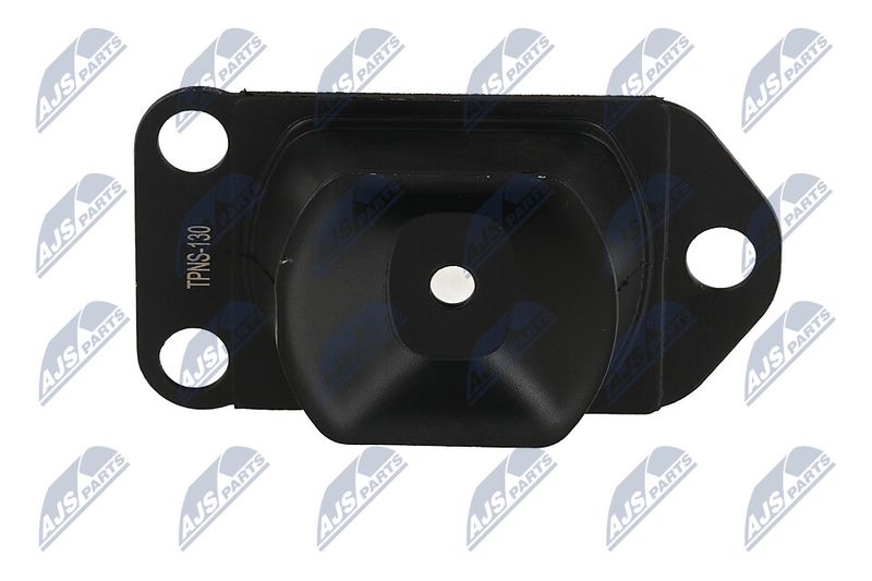 Paigutus, Mootor, NTY ZPS-NS-130
