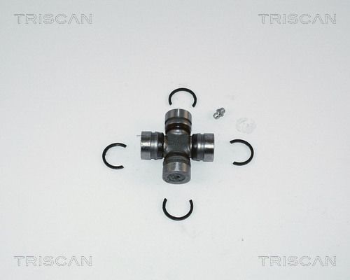 8540T13.JPG