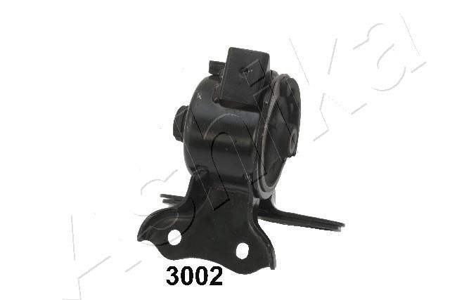 GOM-3002_1.JPG