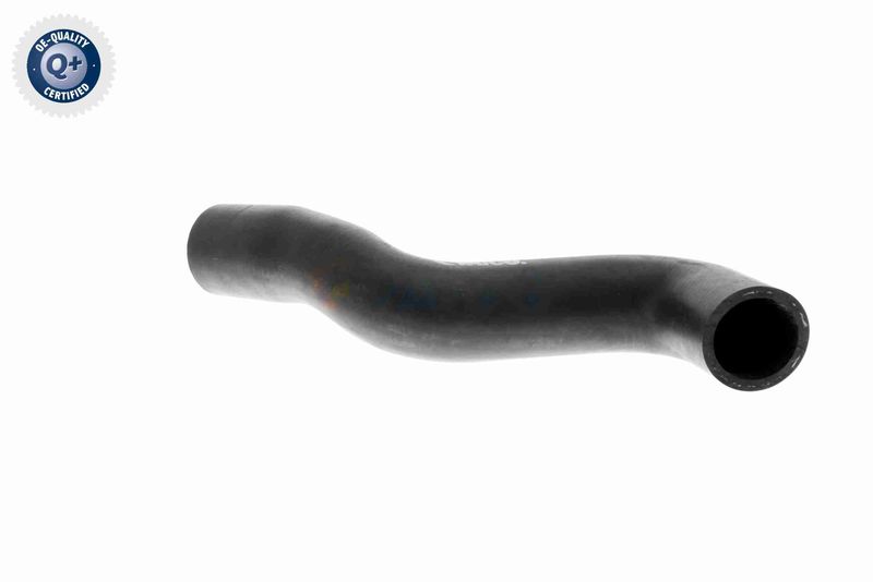 VAICO V30-1619 Radiator Hose