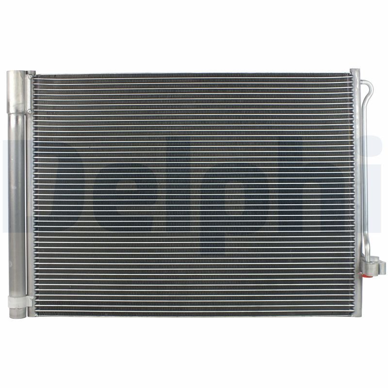 TSP0225701.JPG