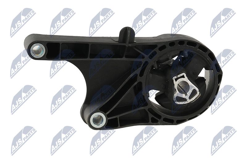 Paigutus, Mootor, NTY ZPS-PL-058