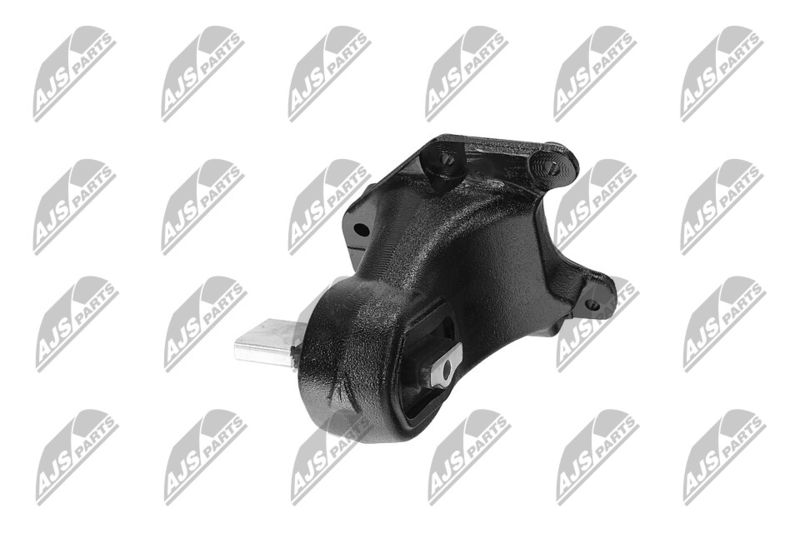 Paigutus, Mootor, NTY ZPS-CH-173