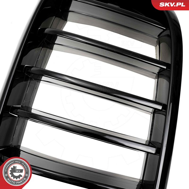 Radiaatorivõre, ESEN SKV 66SKV294