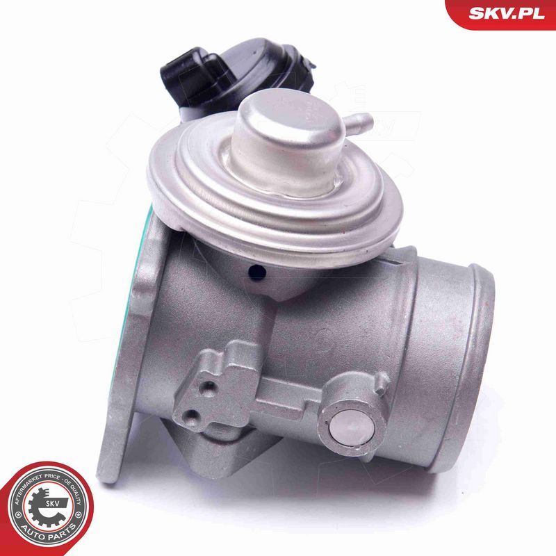 ESEN SKV 14SKV106 EGR Valve