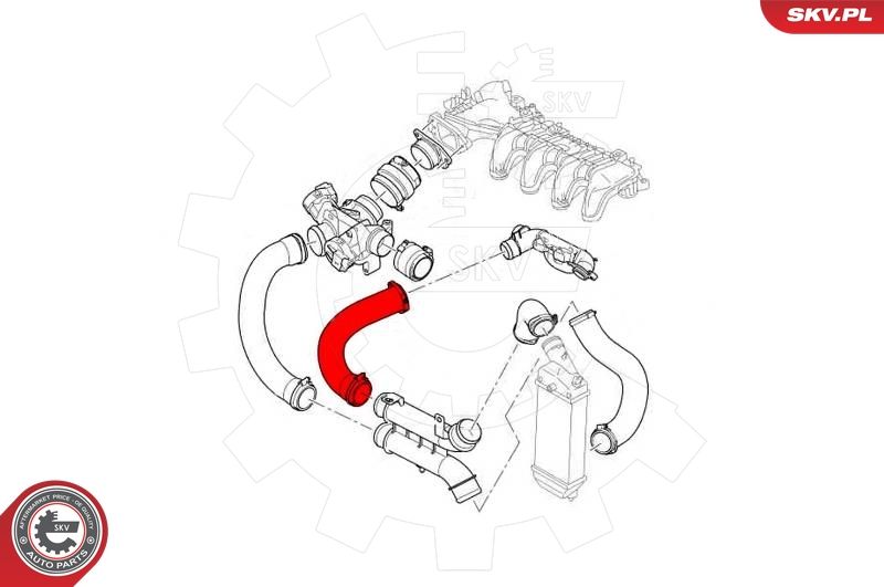 Шланг подачі наддувального повітря, Skv Germany 43SKV251