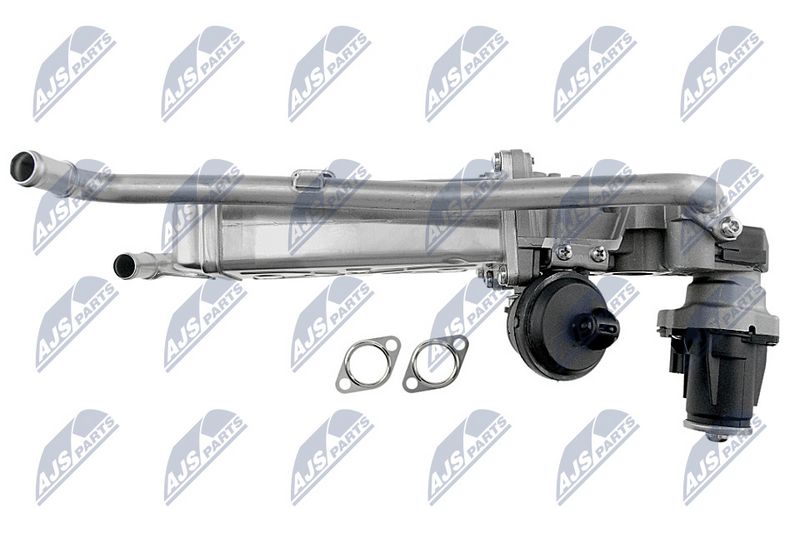 egr-vw-019_3-wm.JPG