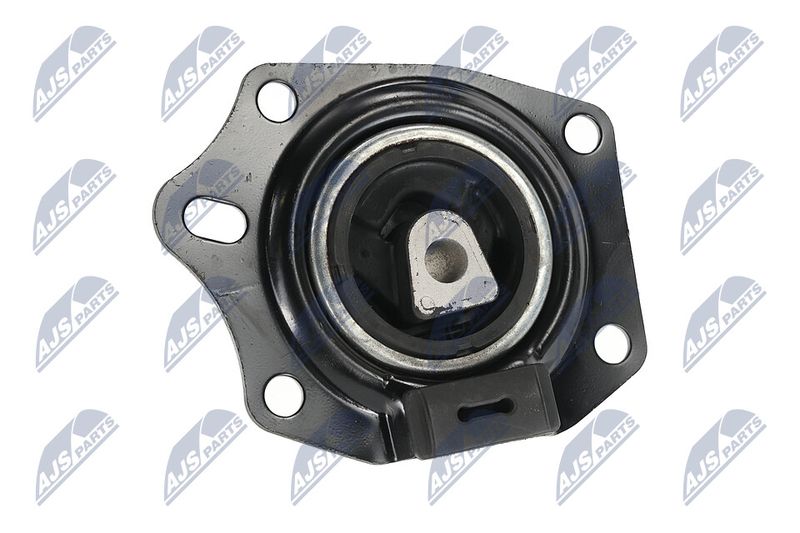 Paigutus, Mootor, NTY ZPS-CH-014