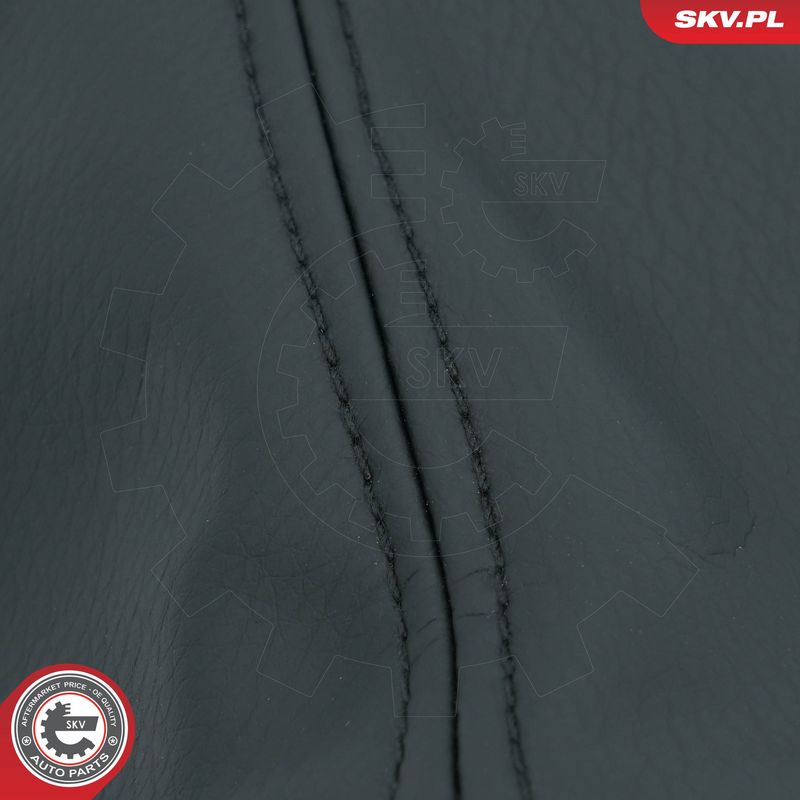 Käigukanginupp, ESEN SKV 63SKV469