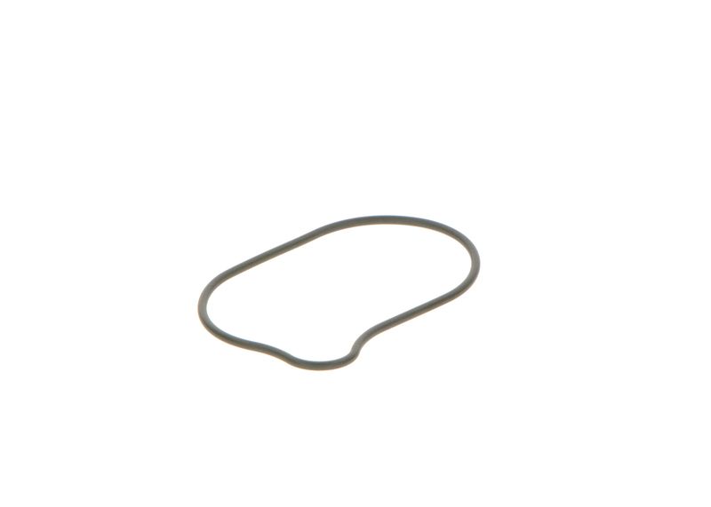 BOSCH 2440210028 Rubber Ring
