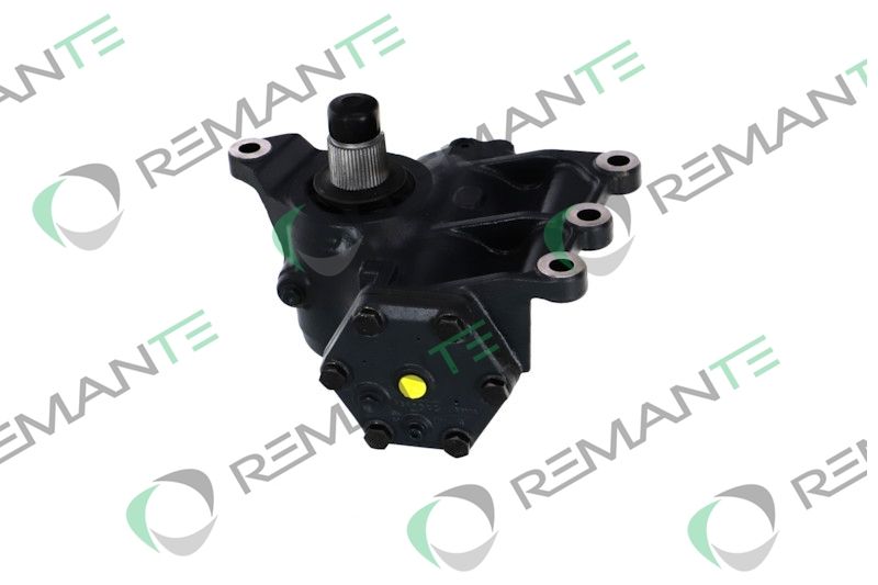 REMANTE 007-006-000006R Steering Gear