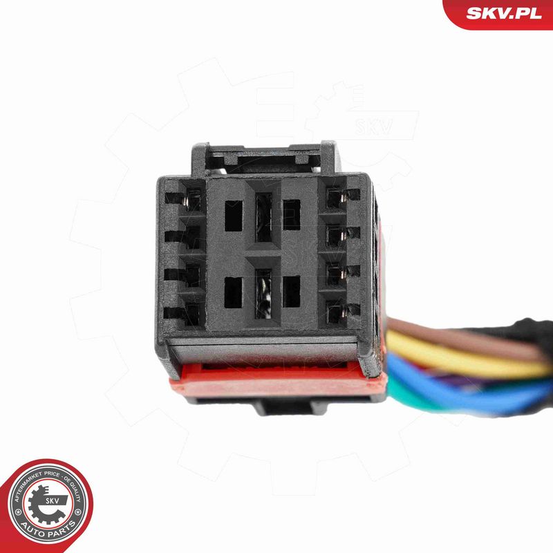 ESEN SKV 52SKV291 Electric Motor, tailgate