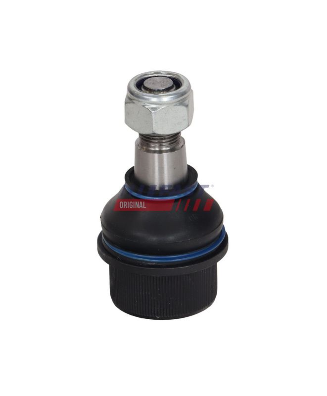 Kande-, juhtliigend, FAST...