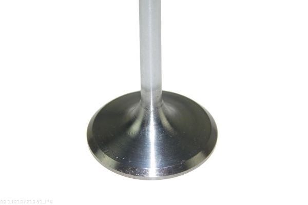 AUTOMEGA 130107210 Intake Valve
