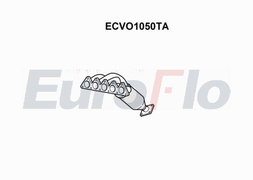 ecvo1050ta.JPG