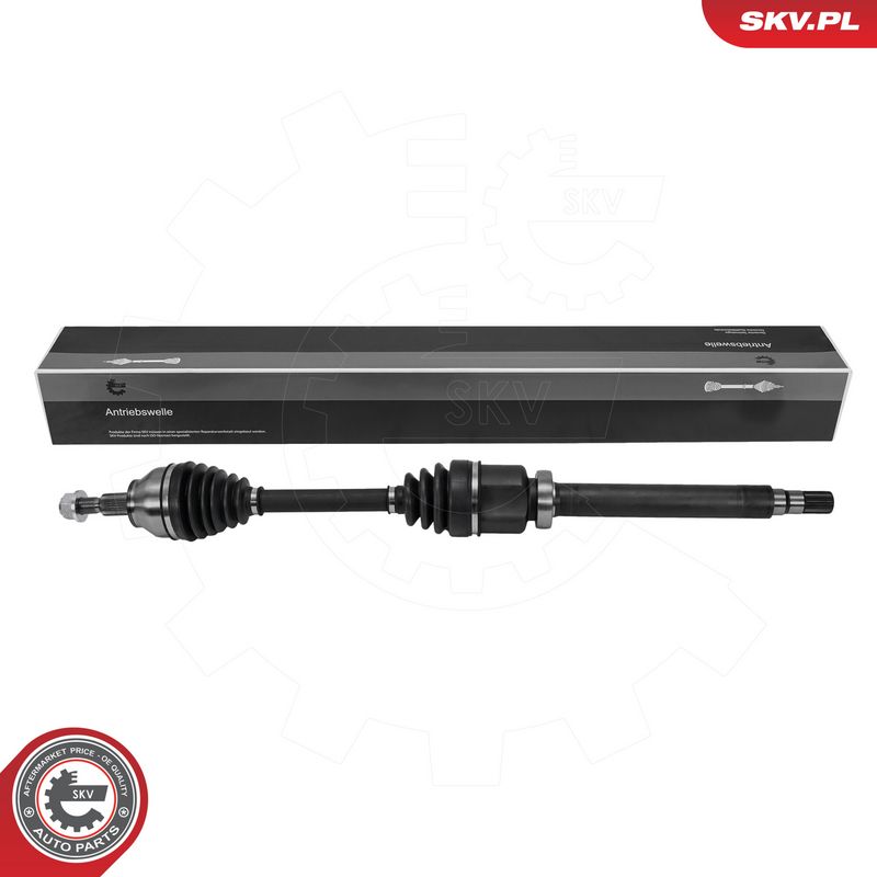 Prekės atitinka OEM kodą: RMAV613B436E1E