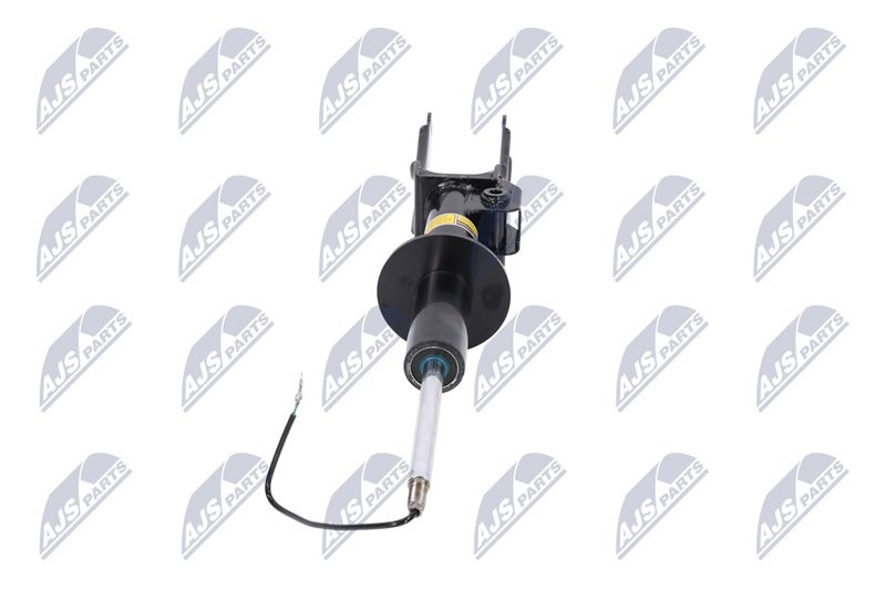 Amort, NTY A-PS-015