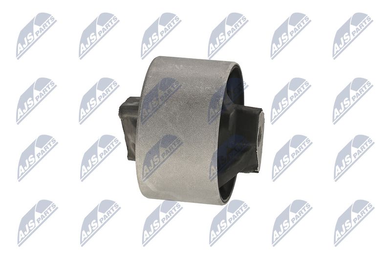 Paigutus, Mootor, NTY ZPS-CH-040