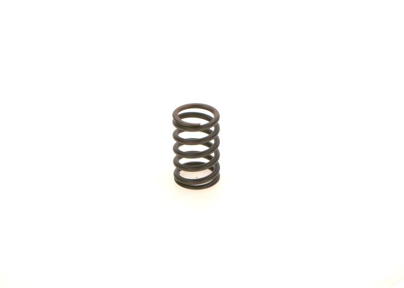 BOSCH 1414619025 Spring