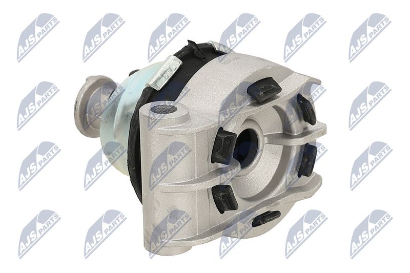 Paigutus, Mootor, NTY ZPS-PL-003