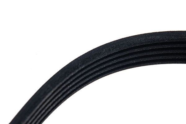 STELLOX 95-01334-SX V-ribbed Belt