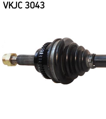VKJC 3043_2.JPG
