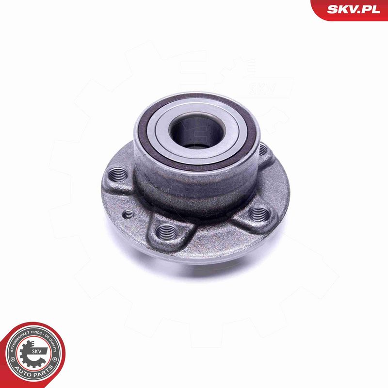 ESEN SKV 29SKV413 Wheel Bearing Kit