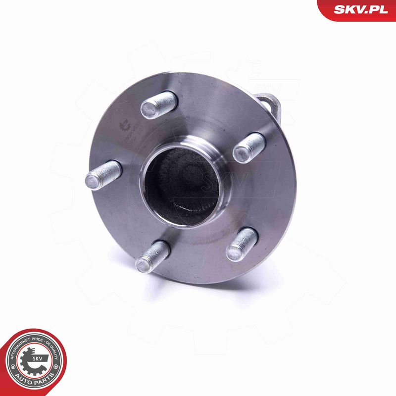 ESEN SKV 29SKV533 Wheel Bearing Kit