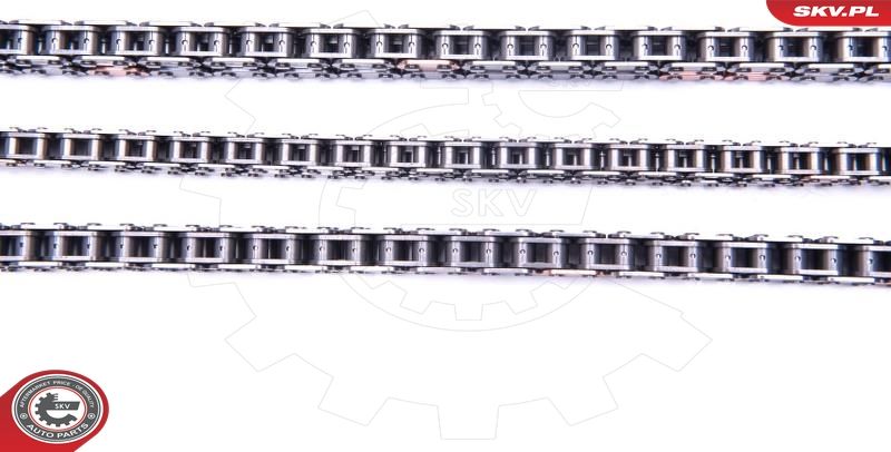 Комплект ланцюгів привода, Skv Germany 21SKV223